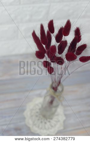 Bunny(rabbit) Tail Grass, Lagurus Dry Flower Bouquet On Wooden Background