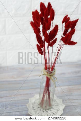 bunny(rabbit) tail grass, lagurus dry flower bouquet on wooden background