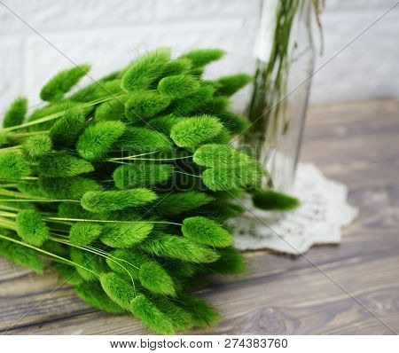bunny(rabbit) tail grass, lagurus dry flower bouquet on wooden background
