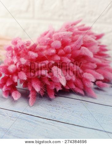 Bunny(rabbit) Tail Grass, Lagurus Dry Flower Bouquet On Wooden Background