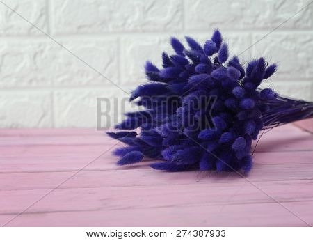 Bunny(rabbit) Tail Grass, Lagurus Dry Flower Bouquet On Wooden Background