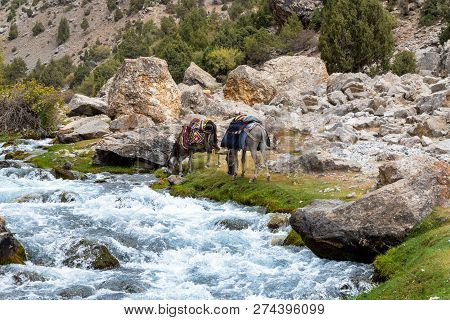 Tajikistan Mountain Beautiful, Fann Mountain, Kulikalon Lakes