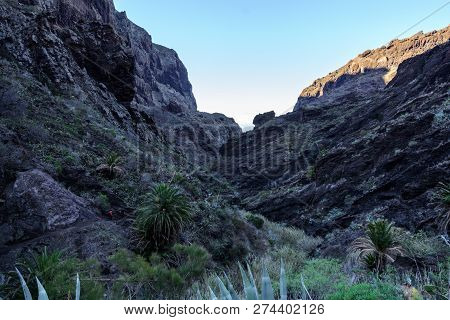 Maska Ravine, Cliffs, Tenerife. Trail In The Gorge Maska