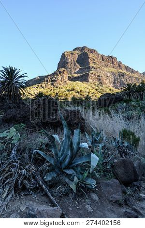 Maska Ravine, Cliffs, Tenerife. Trail In The Gorge Maska