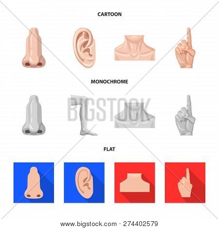 Vector Illustration Of Human And Part Sign. Set Of Human And Woman Stock Vector Illustration.