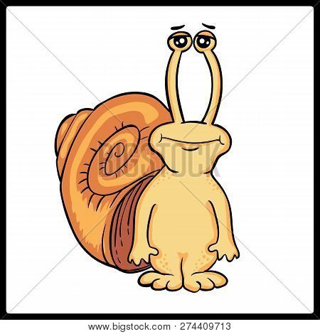 Snail On White Background. Snail Icon. Snail Art. Snail Close Up - Vector. Hand Drawn Style Doodle D