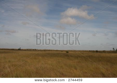 Сельское хозяйство