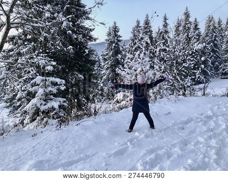 Snowfall. Trees In The Snow. Sky In The Winter Season. Beautiful View. Heppy Child.