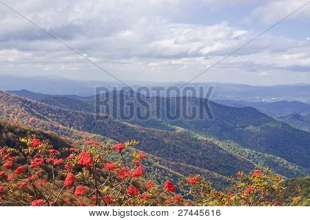 Craggy Gardens