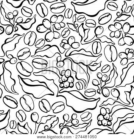 Vector Seamless Pattern. Natural Realistic Coffee Tree, Branch, Leaf, Bean, Grain, Berry Art Line Bo