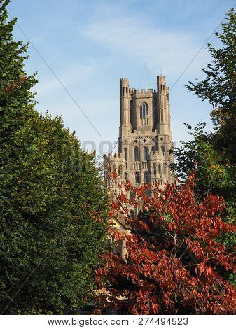 Ely Cathedral In Ely