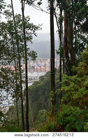 San Juan From The Sand And His Ria Through The Trees At A Lookout On A Rainy Day. July 30, 2015. Lan