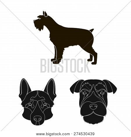 Vector Design Of Cute And Puppy Symbol. Set Of Cute And Animal Stock Symbol For Web.