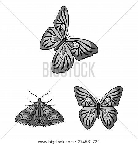 Isolated Object Of Color And Spring Sign. Collection Of Color And Fly Stock Vector Illustration.