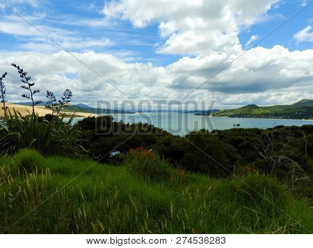 View Across Hokianga River Near Omapere, New Zealand
