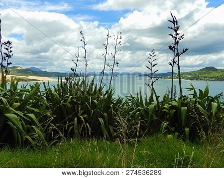 Hokianga River Near The Tasman Sea In New Zealand On A Cloudy Day