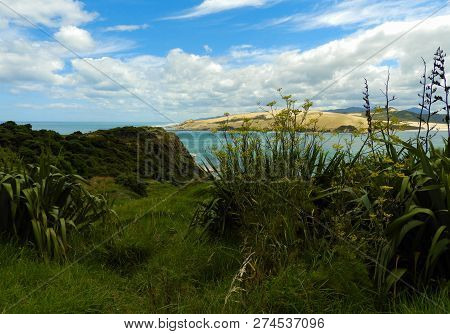 Tasman Sea Seen From The Scenic Outlook At The Hokianga River Near Omapere, New Zealand