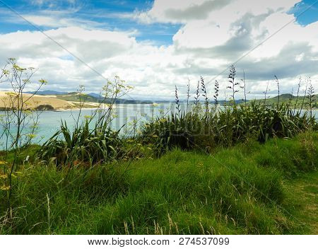 View Of Hokianga River Near Omapere In New Zealand