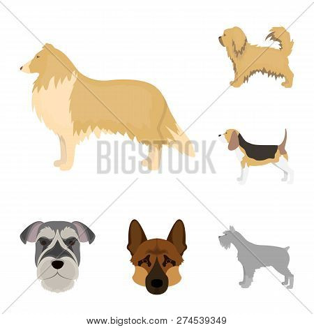 Vector Illustration Of Cute And Puppy Symbol. Set Of Cute And Animal Vector Icon For Stock.