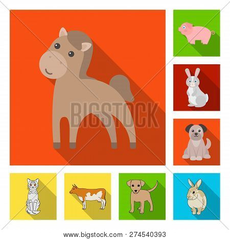 Vector Design Of Animal And Habitat Icon. Set Of Animal And Farm Stock Vector Illustration.