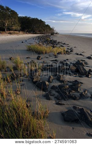 Rocks And Sea Oats On St. Andrews Beach, Jekyll Island, Georgia