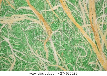 Natural Thai mulberry kozo paper against green background