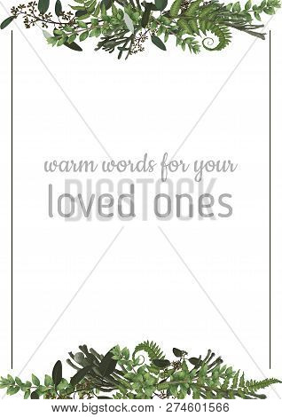 Decorative Golden Rectangular Frame With Eucalyptus, Fern And Boxwood Branches Isolated On White. Fo