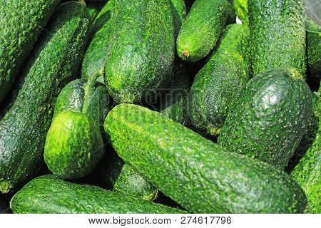 Green Raw Cucumber Whole Healthy Vegetable Diet Food Low Kcal