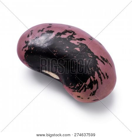 Single large scarlet runner bean isolated on white background
