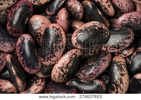 Large scarlet runner beans close up full frame