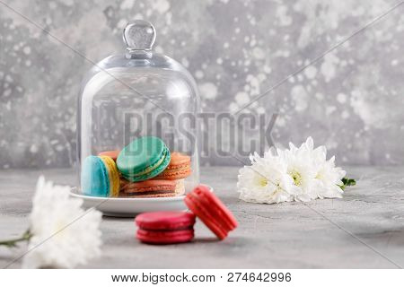 Macarons Under A Glass Dome On A Gray Background And Two Pink Macarons With Chrysanthemum Flowers In