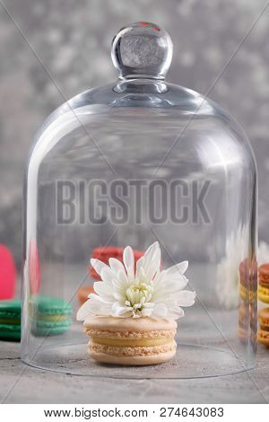 Macarons With Chrysanthemum Flower Under A Glass Dome.