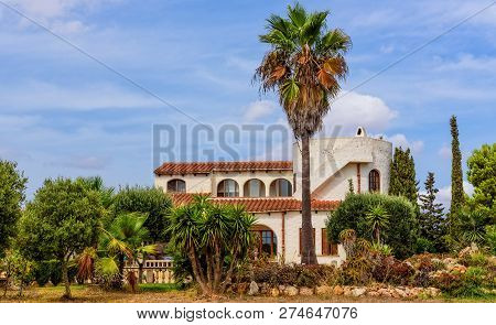 Finca Plot Building House Palm Plants Architecture