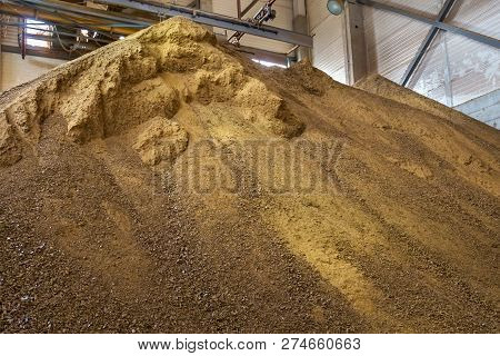 Granules Of Rape Cakes In The Agricultural Factory For The Production Of Rapeseed Oil.