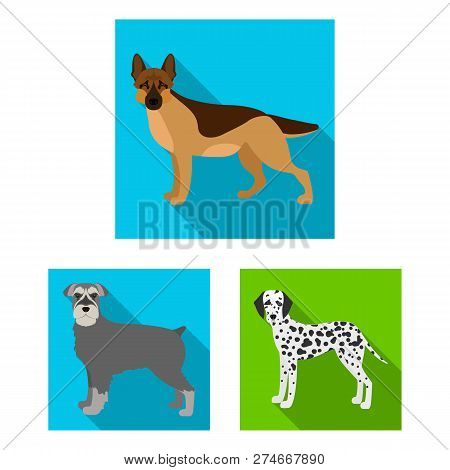 Vector Design Of  Cute  And  Icon. Set Of  Cute  And  Vector Icon For Stock.
