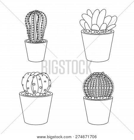 Vector Illustration Of Cactus And Pot Icon. Set Of Cactus And Cacti Vector Icon For Stock.