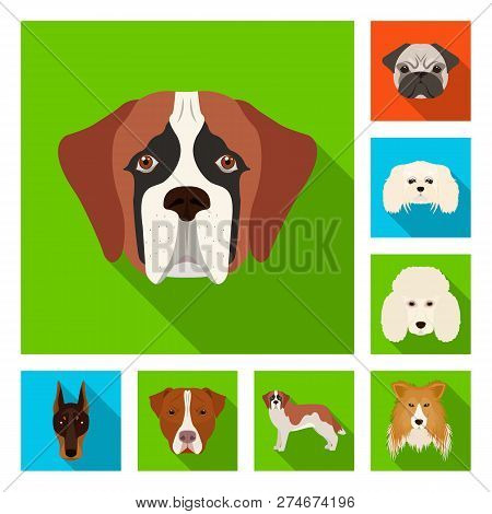 Vector Illustration Of Cute And Puppy Icon. Collection Of Cute And Animal Stock Vector Illustration.