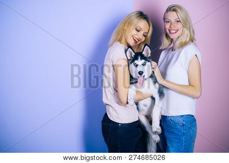 Best Dog Ever. Pretty Image & Photo (Free Trial) | Bigstock