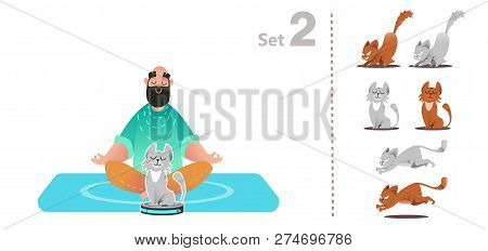 Cat Plays With A Vacuum Cleaner, Rides A Smart Vacuum Cleaner, Hunts Moving Household Appliances. Se