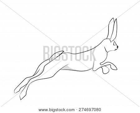 Vector Illustration White Hare Vector, White Background