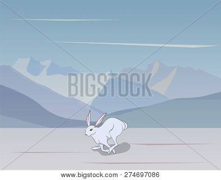 Vector Illustration White Hare Vector, White Background