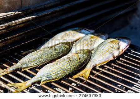 Grilling Fish On A Bbq Barbecue Grill Over Hot Coal. Preparing And Roasting Salema Porgy, Sarpa Salp