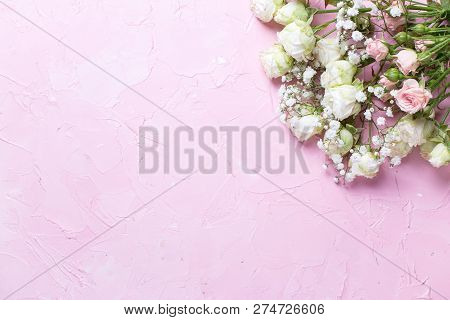 Fresh White Gypsofila And White Rose Flowers On  Pink Textured Background. Top View. Place For Text.