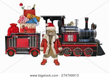 The Cat In A Santa Claus Outfit Stays Near The Red Train With The Christmas Gift Bags. White Backgro