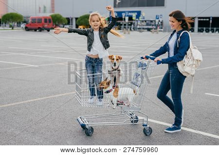 Shopping And Family Concept. Glad Female Carries Trolley In Which Little Girl Stands With Dogs, Pose