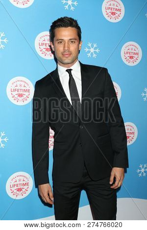 LOS ANGELES - NOV 14:  Stephen Colletti at the 
