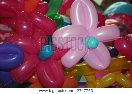 Ballon Flower