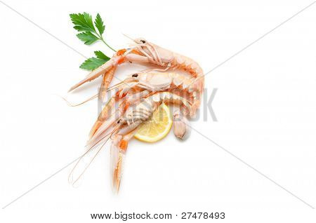 scampi al limone su bianco