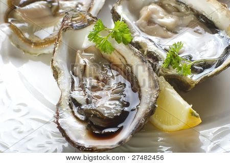 oester op schotel geopend