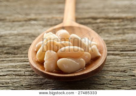 Cannellini Bohnen über Löffel